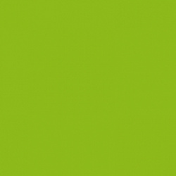 sl-095 салатовый