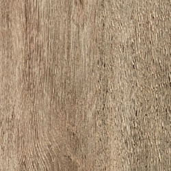 9734 Дуб Касабланка