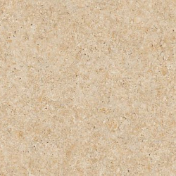 5495d902e2272d4e7a9ae7899d0c0270