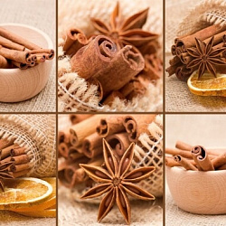 0 Корица (SP11)